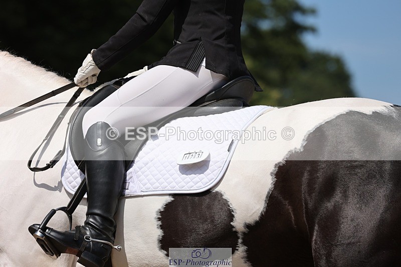 240719-121012-01604 - 123-Michelle_Wallis-Alvescot_Winning_Mood