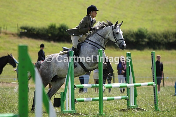 JMB_4554 - MBRC Working Hunter/Jumping July 2014