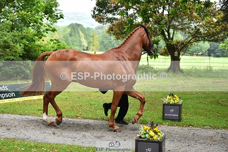 240522-163840-01060 - 215-RAMIRO_WANNABE-Finn_Healy