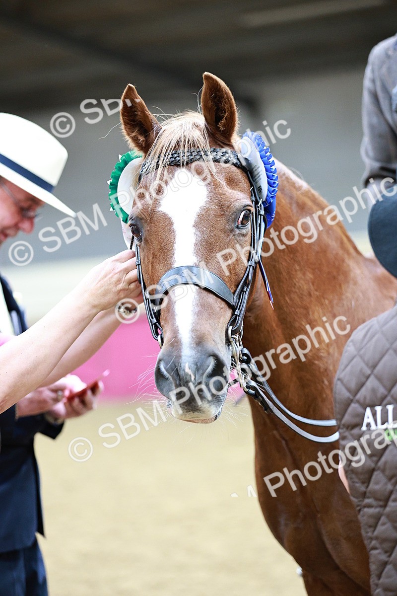 SBM_02307 - Class 4A - Area Ridden Diamond
