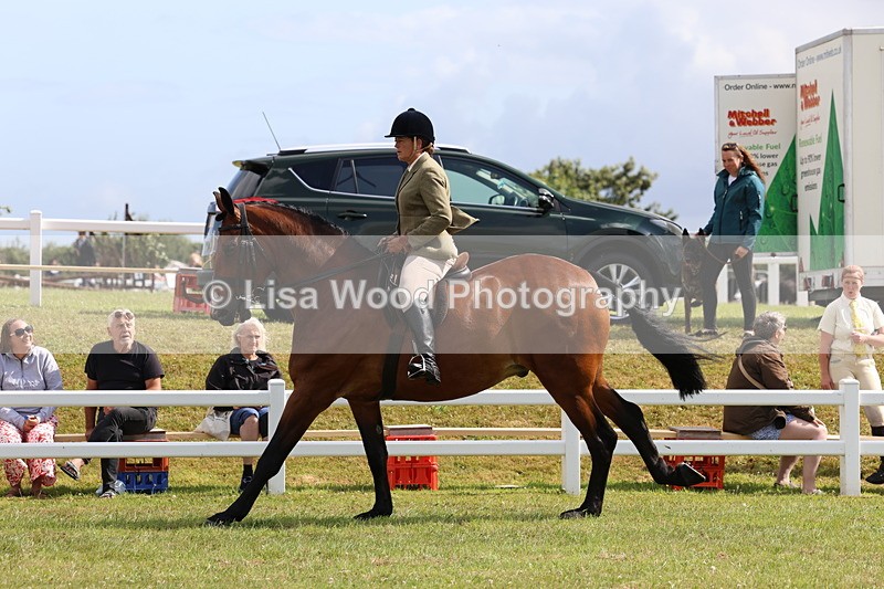 3E7A9365 - Class 4: Rising Star M/H Hunter