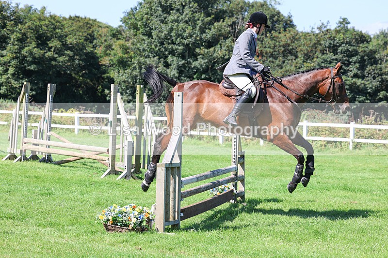 3E7A8308 - Class 4: Novice working Hunter