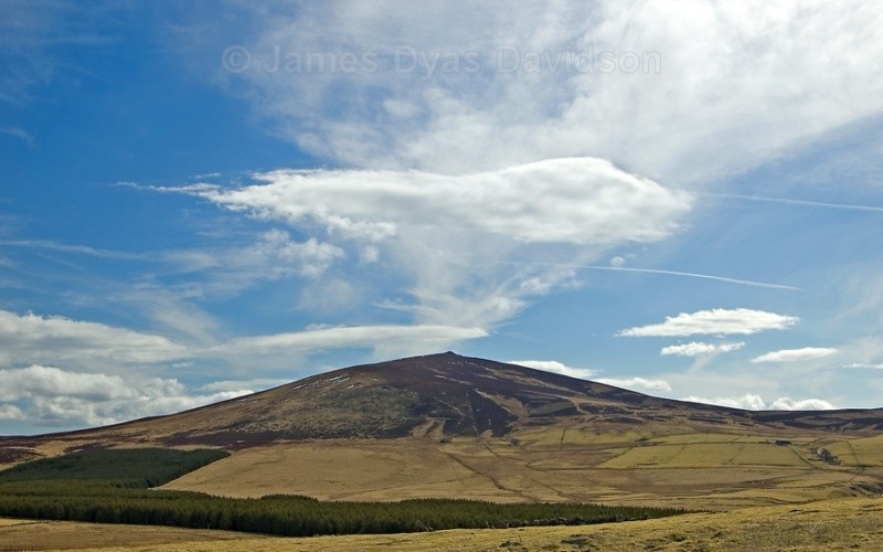 The Buck - Cabrach
