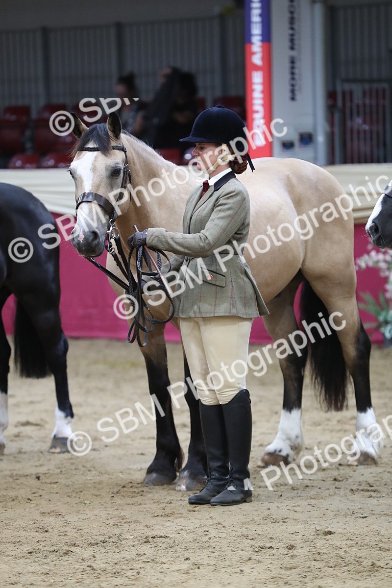 SBM_06394 - Class 9R Regional- IH Pre Vet