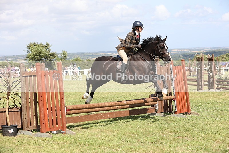 JPP_2213 - Class 19: Working Hunter 60cm