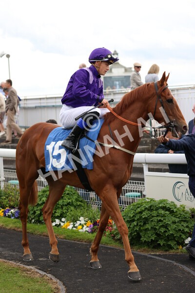 yr22052022r3-33 - Race 3: 4:35pm Sky Bet Sunday Series Dash