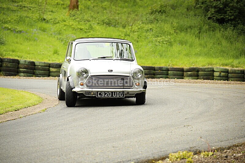 _56A1814 - MINI FESTIVAL 22ND May 2021