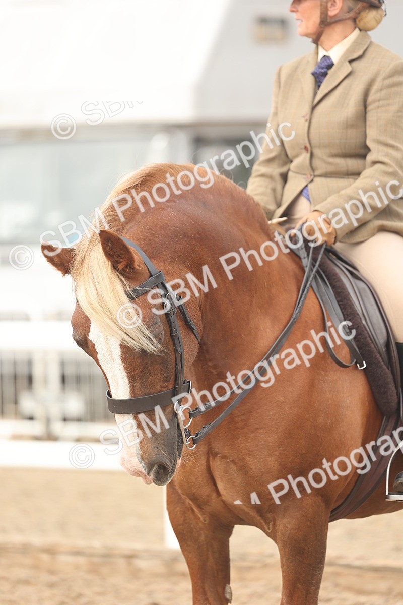 SBM_01953 - Class 14 - Ridden M&M Wildcard