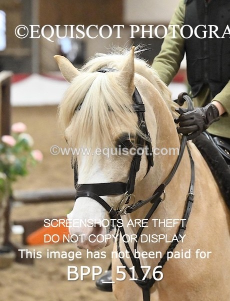 BPP_5176 - CLASS 4 50cm