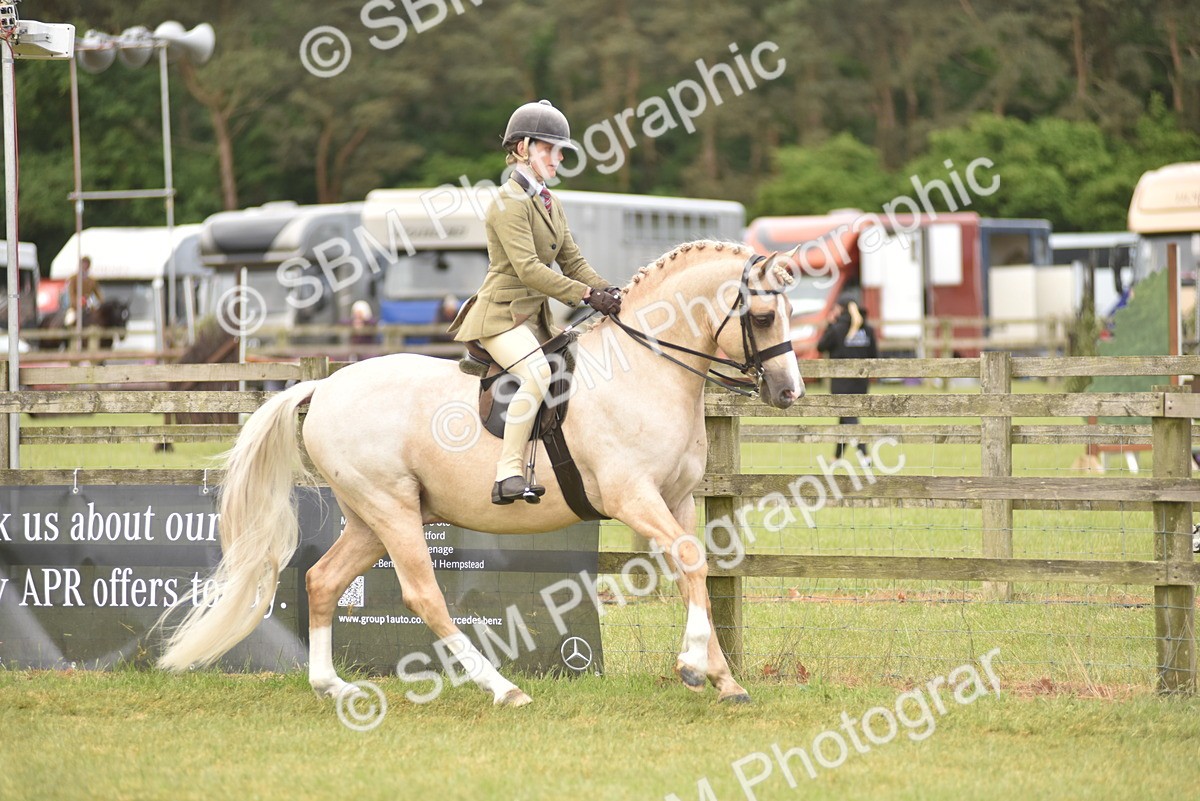 SBM_12128 - Class 110-112 - LIHS BSPS Performance Pones