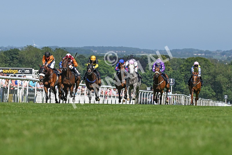 250624-Race 4-Lincoln Rockstar-9126 - Race 4