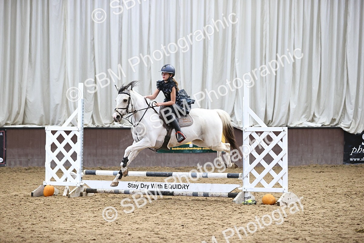 SBM_001625 - Class 3 - Horse & Hound 60cm