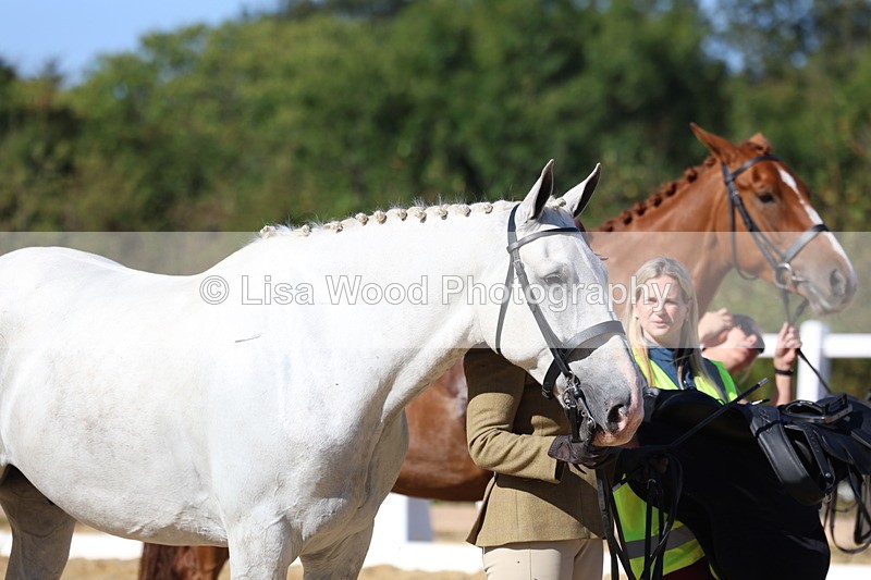 3E7A5553 - Class 9: Open Ridden Hunter