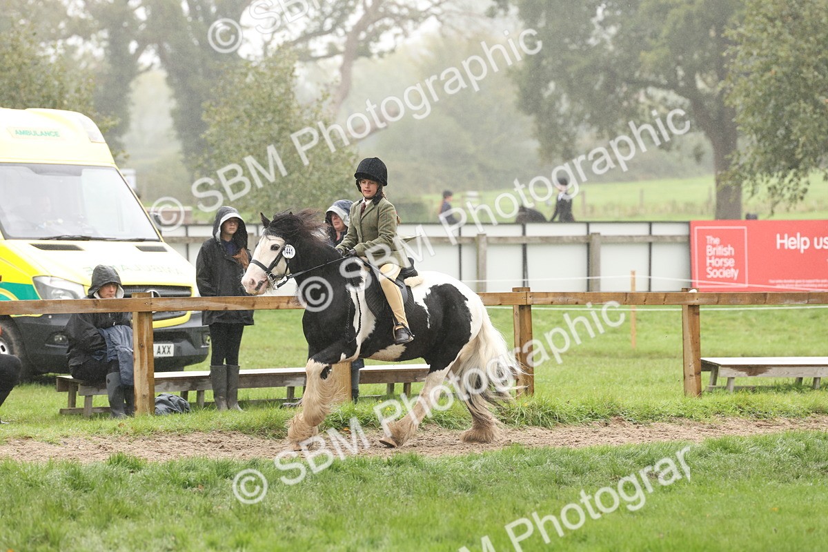 SBM_72843 - S70 - Traditional Cob Ridden