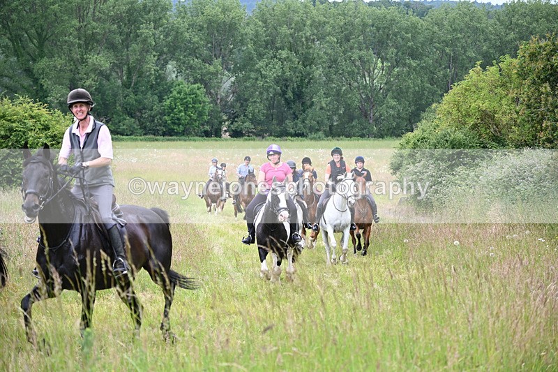 WJ6_8381 - Camera 1 Gallops