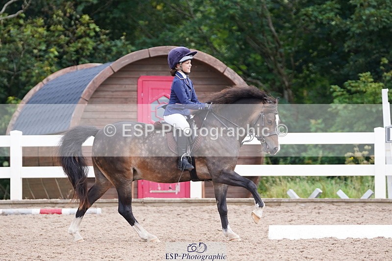240809A-095938-00386 - Dressage Competition