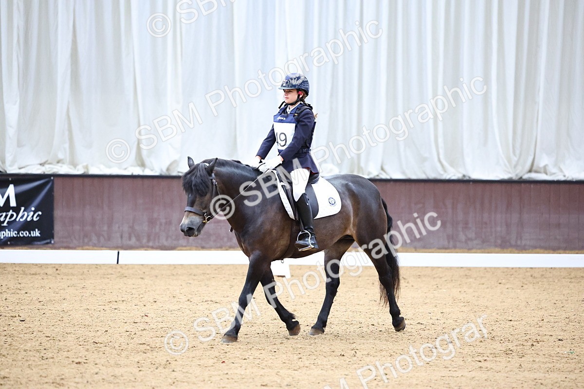 SBM_003405 - Intro 2