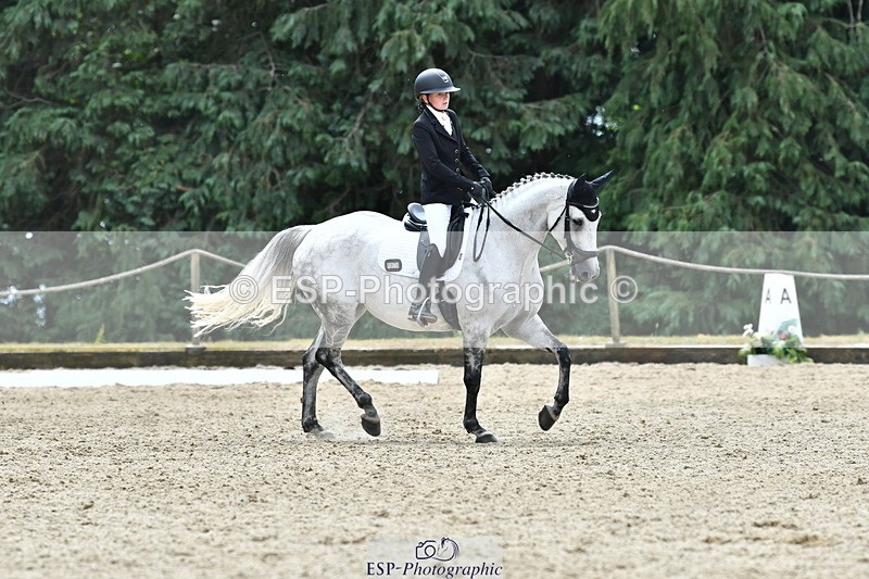 260801A-121552-03863 - Prelim Bronze Break - End