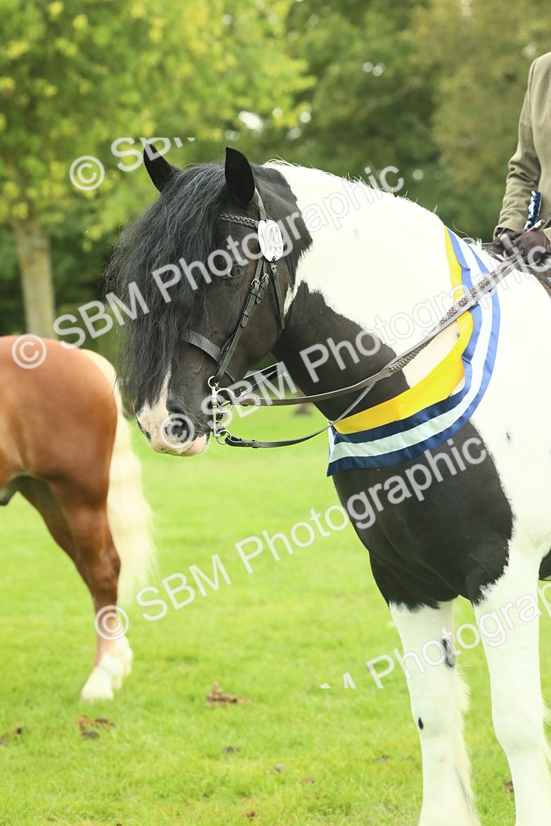 SBM_75224 - Super Supreme Championship