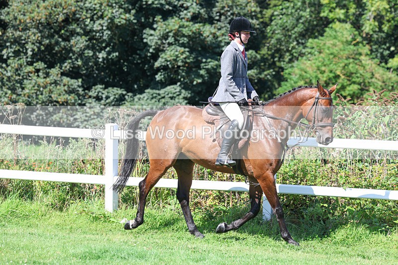 3E7A8326 - Class 4: Novice working Hunter