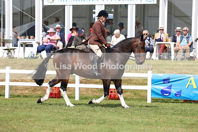 3E7A9958 - Class 5: Rising Star Lightweight/Heavyweight Cobs