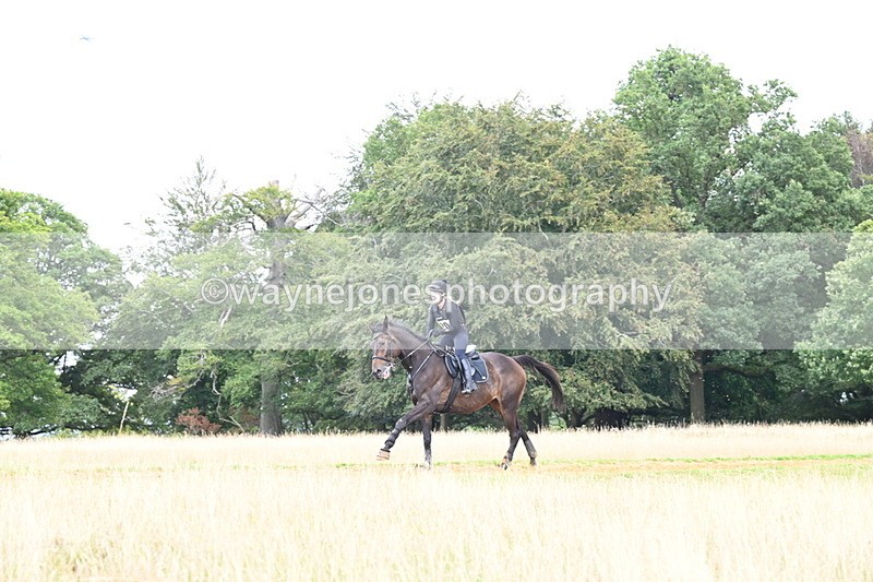 DSC_7606 - Time at Statue 13:16 to 13:52