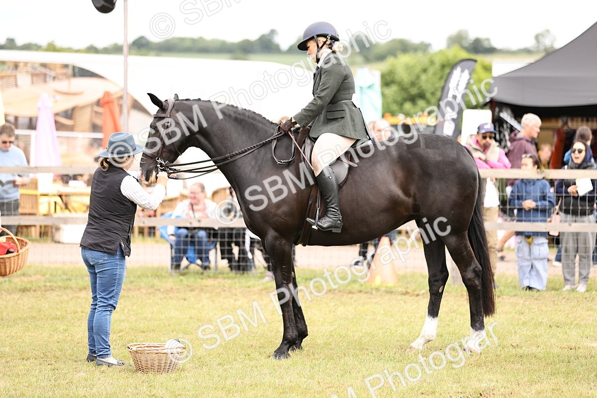 SBM_14624 - Class 88-89 - LIHS BSHA Rising Star of Ridden Hunter Type