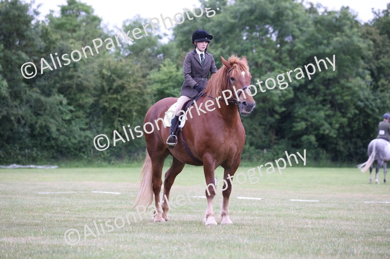 20250605-0686 - Class 1 - Intro 2