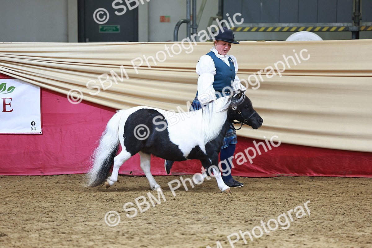 SBM_23054 - Class 903 - Supreme Final - IH Pre Vet