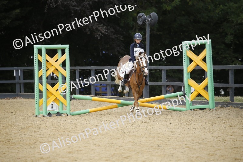 20250622-4039 - 50cm