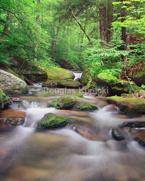 Libby Run - Allegheny National Forest