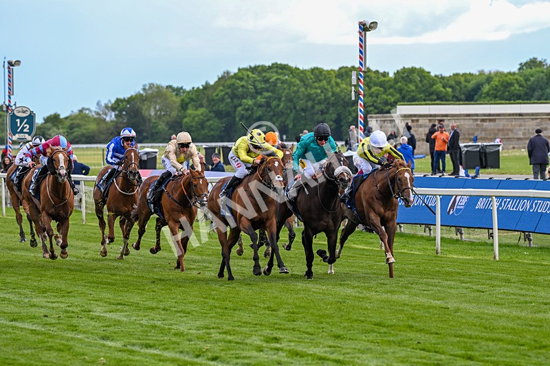 140526-Race 6-Dickensian-5787 - Race 6 4.40pm British Stallion Studs EBF Westow Stakes