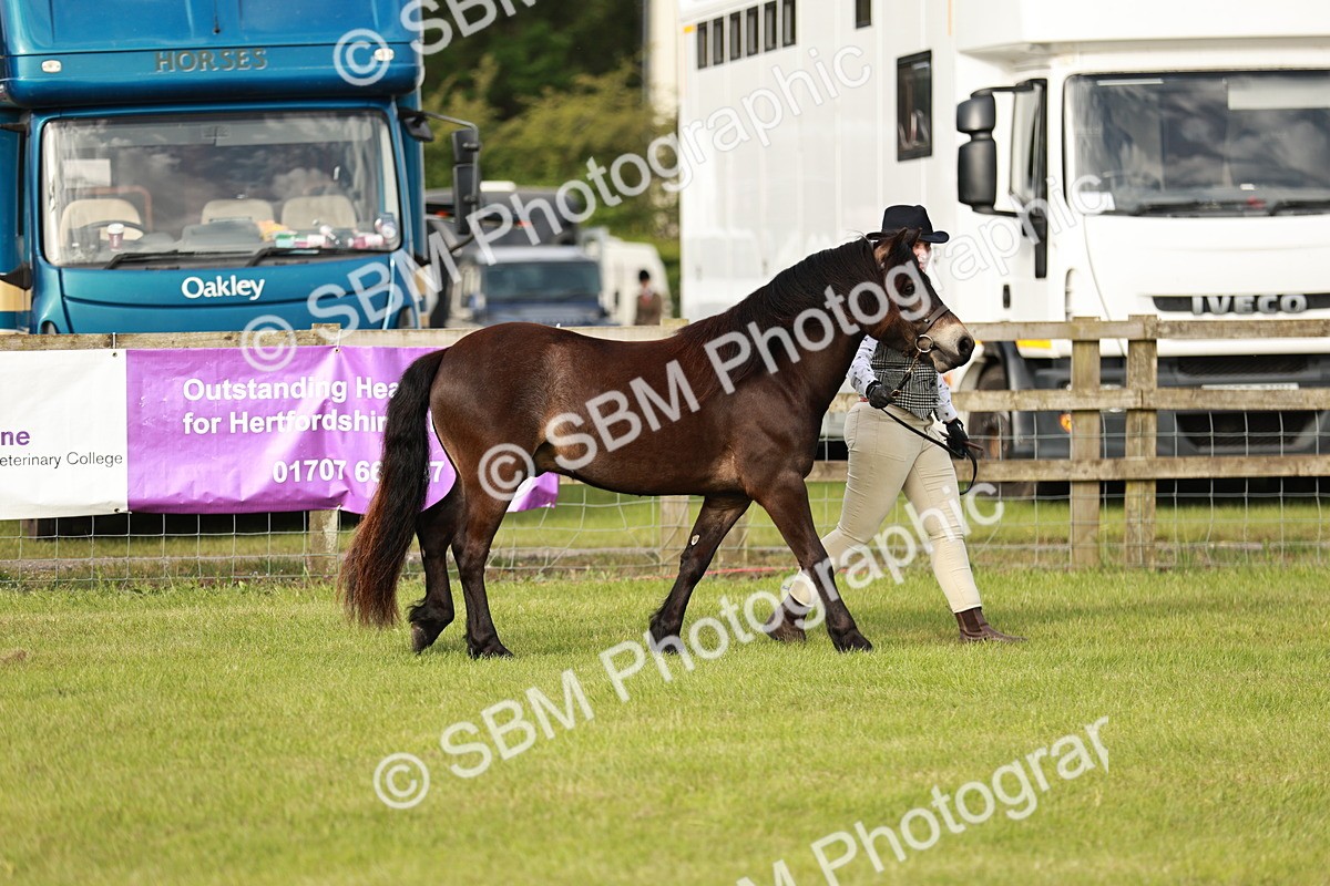 SBM_00379