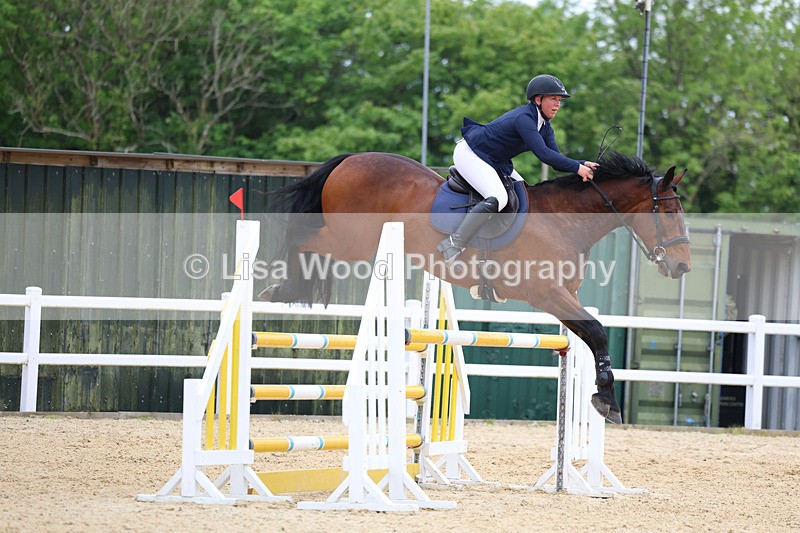3E7A9689 - Class 9: Senior Foxhunter/1.20 open