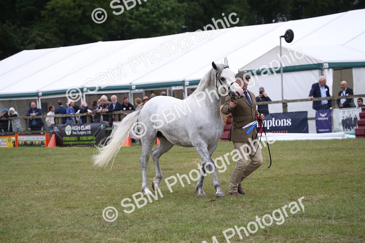 SBM_09850 - Ch 50 - Price Family Supreme In Hand