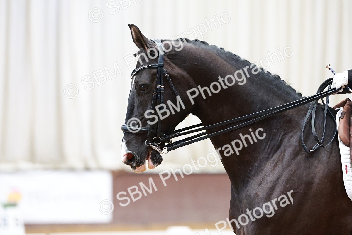 SBM_003508 - Class 8 - Medium 5