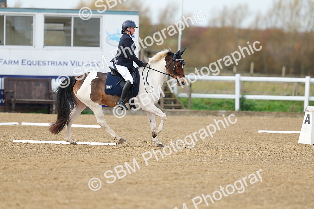 SBM_003617 - Class 6 - Novice 2