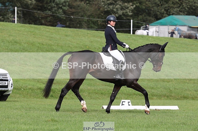 231019-123454-03688 - 632-ANGELL'S.CHOICE-Saffron.Cresswell-DR