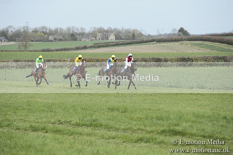 PtP 230319 26 - VWH Hunt Siddington Point-to-Point Racing 23/03/19