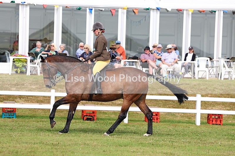 3E7A9469 - Class 4: Rising Star M/H Hunter