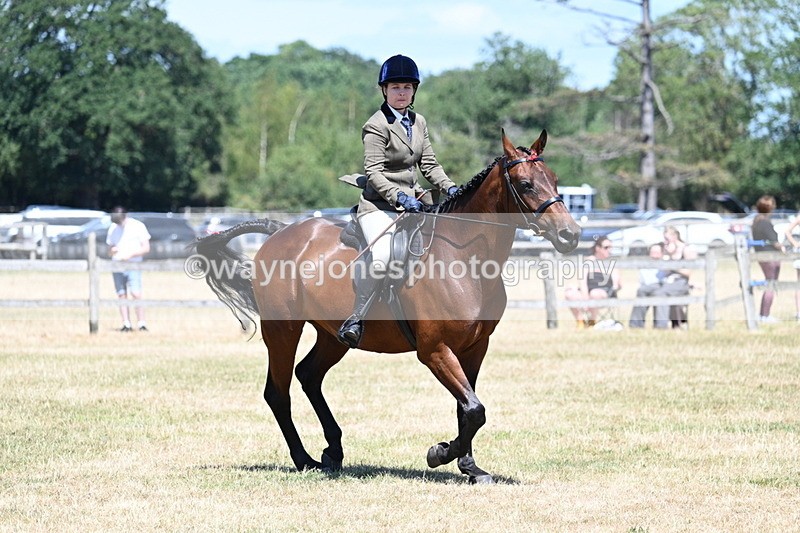 WJ7_3057 - Class 7 Riding Club Show Horse