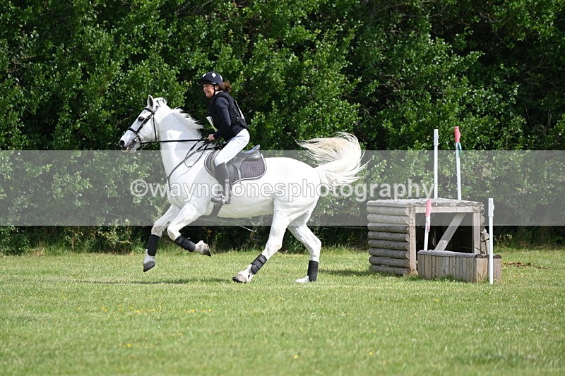 WJ6_2638 - Class 2 40cm