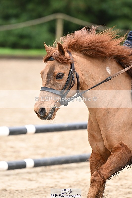 260222A-112628-00612 - 50cm All sections