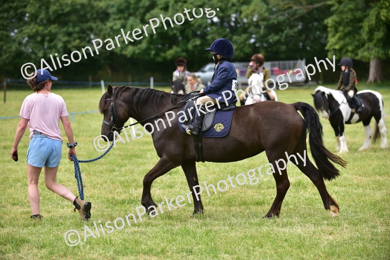 20260614-3668 - Class 15 - Prettiest Mare