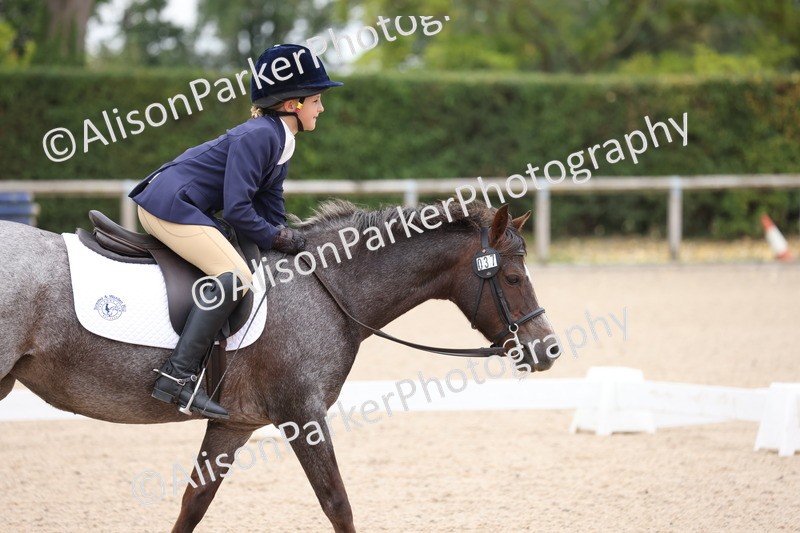 20250819-0908 - Class 2 - Prelim 1