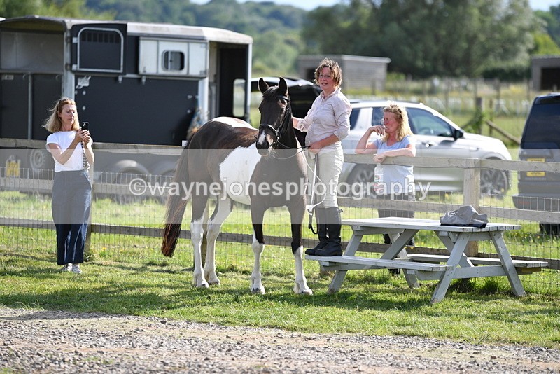 WJ5_8087 - Time 17:14 to 17:23