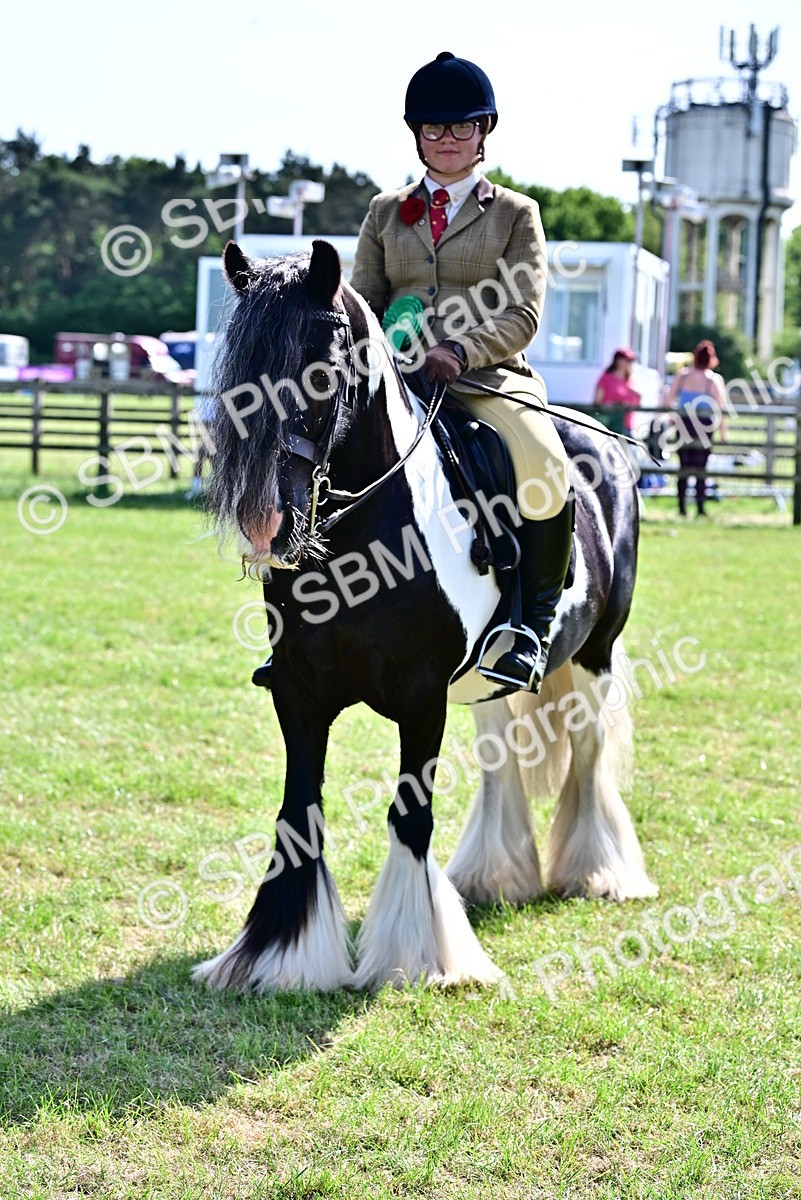 SBM_09434 - Class 63-65 - Traditional Gypsy Cobs In Hand & Ridden