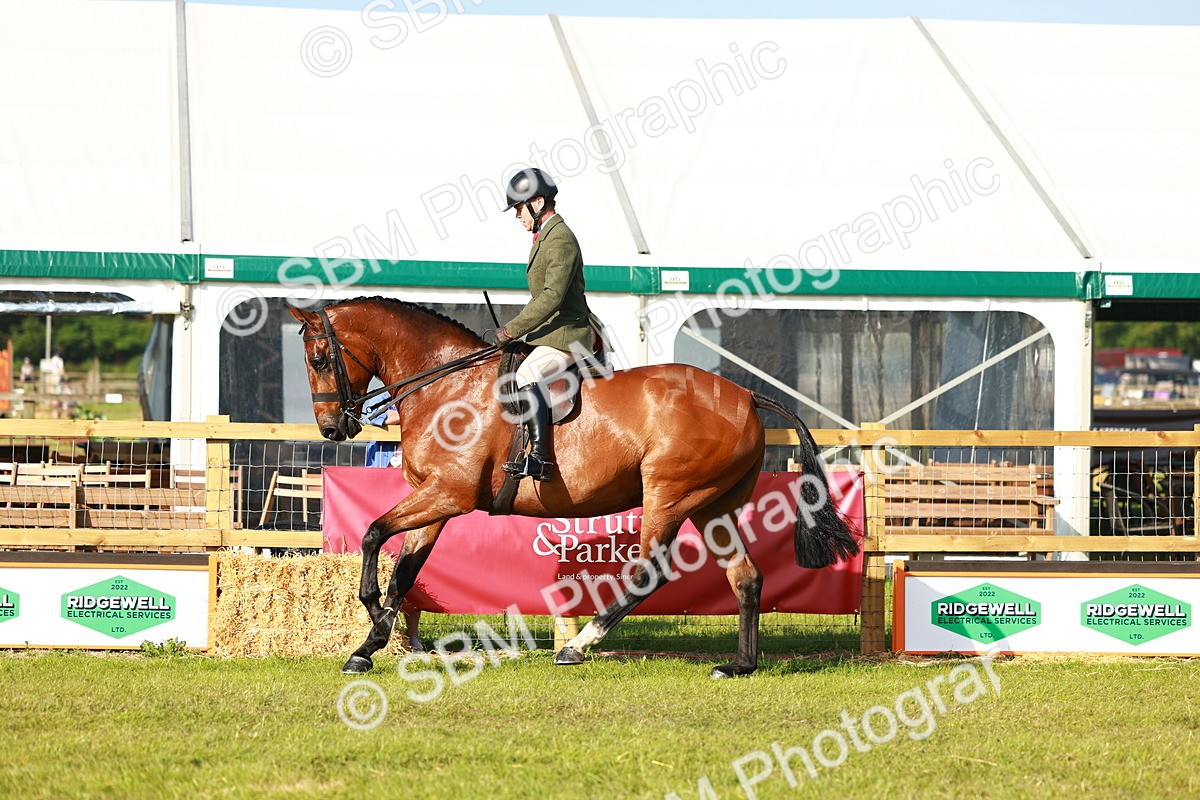 SBM_10767 - Class 66-69 - RIHS Ridden Hunters Inc Small Hunter