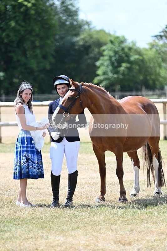 WJ7_2056 - Class 4a Prettiest Mare 14.2hh and over hand