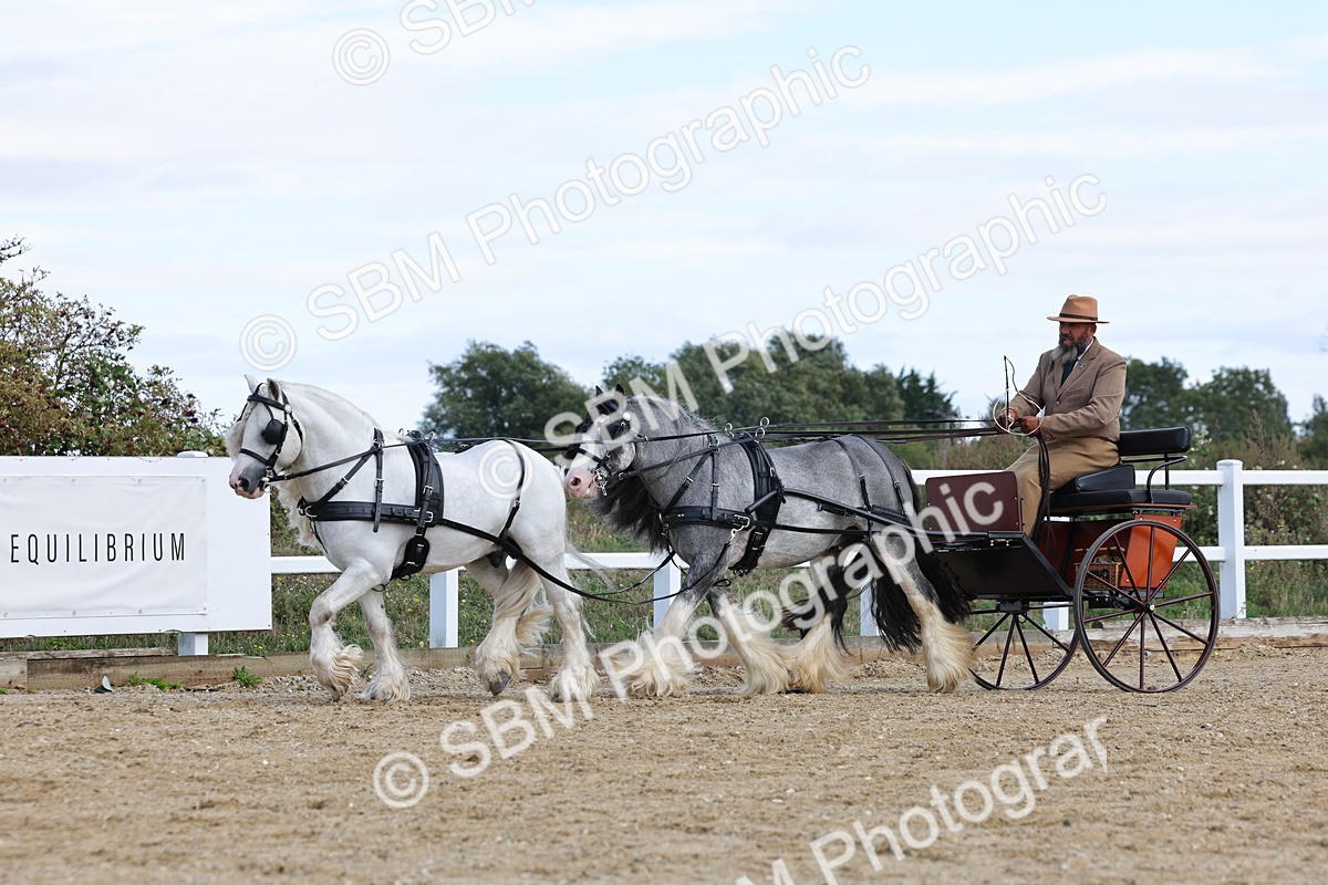 SBM_001189 - Class 16 - Pairs ,Multiples and Tandems